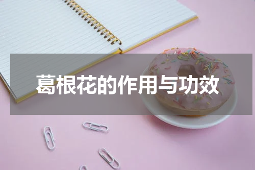 葛根花的作用与功效