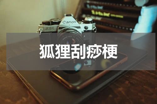 狐狸刮痧梗