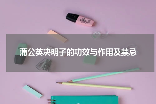 蒲公英决明子的功效与作用及禁忌