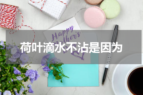 荷叶滴水不沾是因为