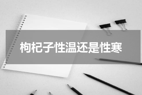枸杞子性温还是性寒