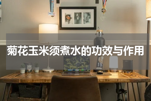 菊花玉米须煮水的功效与作用