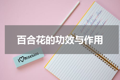 百合花的功效与作用