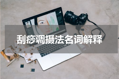 刮痧调摄法名词解释