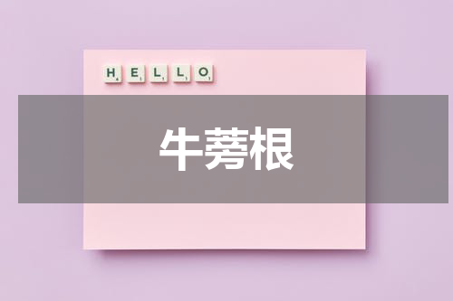 牛蒡根