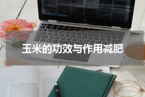 玉米的功效与作用减肥