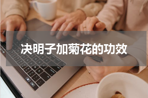 决明子加菊花的功效