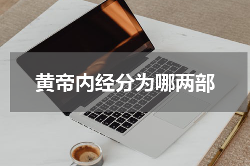 黄帝内经分为哪两部
