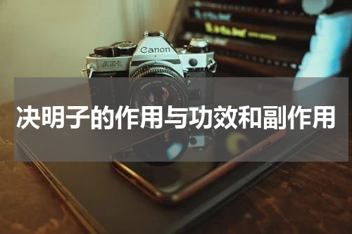 决明子的作用与功效和副作用