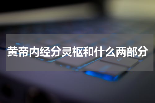 黄帝内经分灵枢和什么两部分