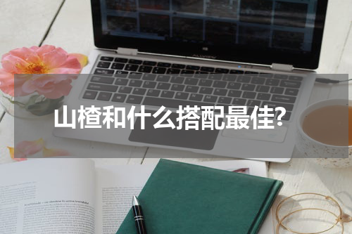 山楂和什么搭配最佳?
