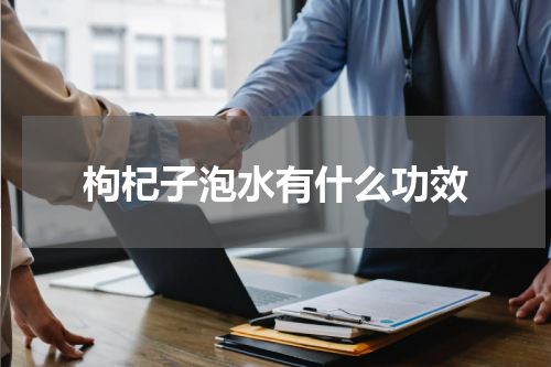 枸杞子泡水有什么功效