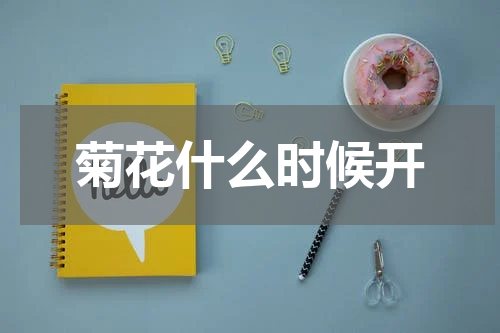 菊花什么时候开