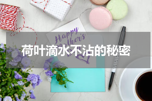 荷叶滴水不沾的秘密