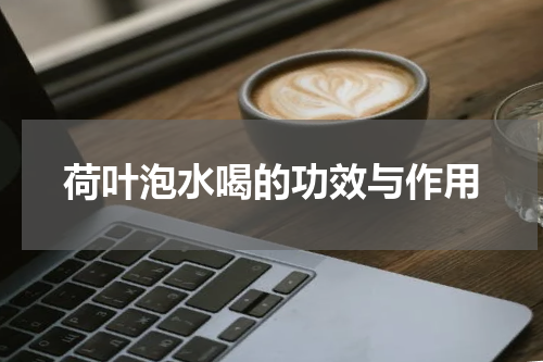 荷叶泡水喝的功效与作用