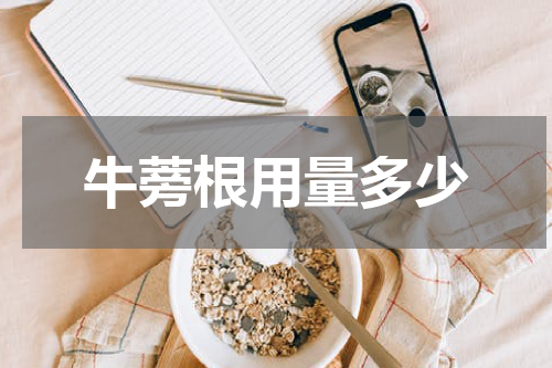 牛蒡根用量多少