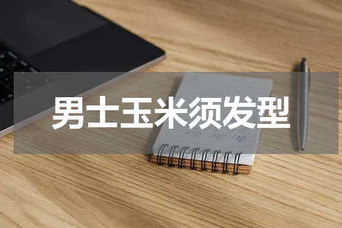 男士玉米须发型