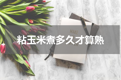 粘玉米煮多久才算熟