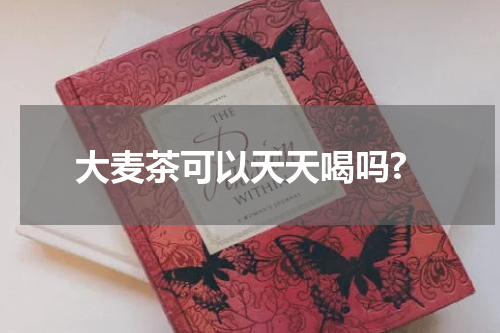 大麦茶可以天天喝吗?