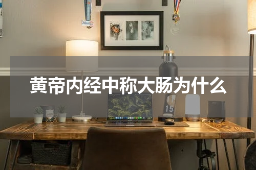黄帝内经中称大肠为什么