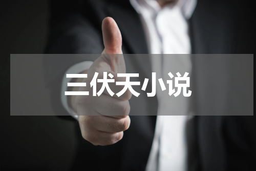 三伏天小说