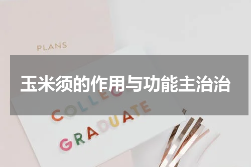 玉米须的作用与功能主治治