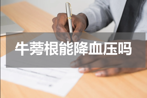 牛蒡根能降血压吗