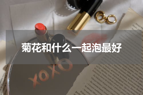 菊花和什么一起泡最好