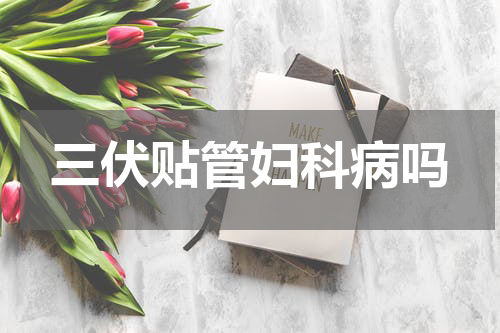 三伏贴管妇科病吗