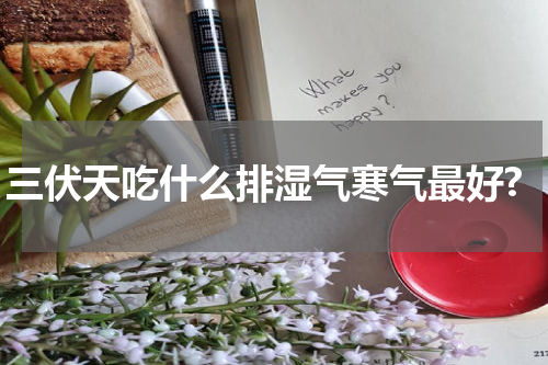 三伏天吃什么排湿气寒气最好?