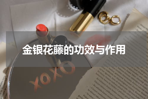 金银花藤的功效与作用