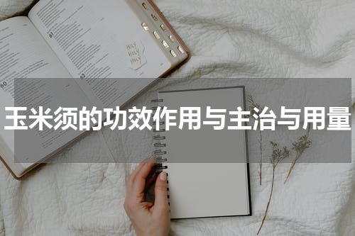 玉米须的功效作用与主治与用量