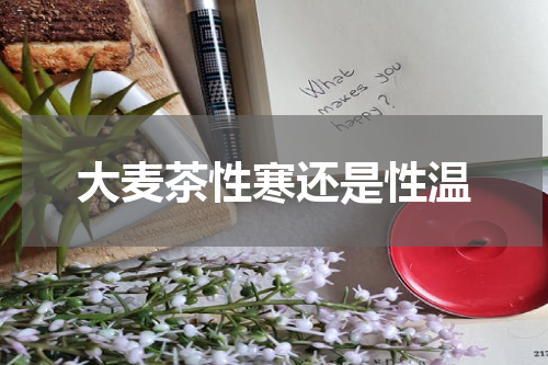 大麦茶性寒还是性温