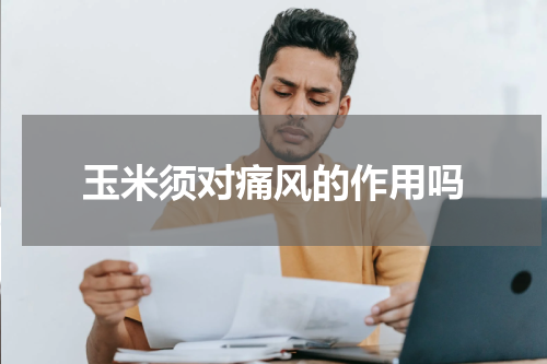 玉米须对痛风的作用吗