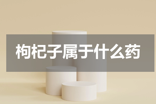 枸杞子属于什么药