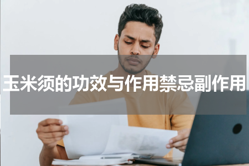 玉米须的功效与作用禁忌副作用
