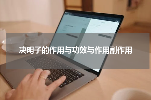 决明子的作用与功效与作用副作用