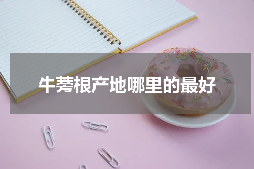 牛蒡根产地哪里的最好