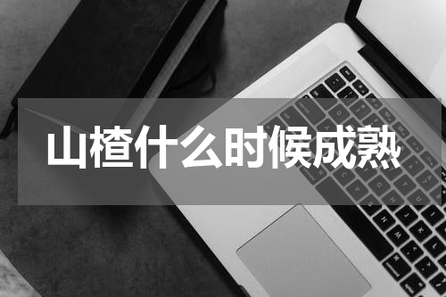 山楂什么时候成熟