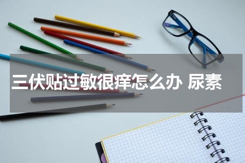 三伏贴过敏很痒怎么办 尿素