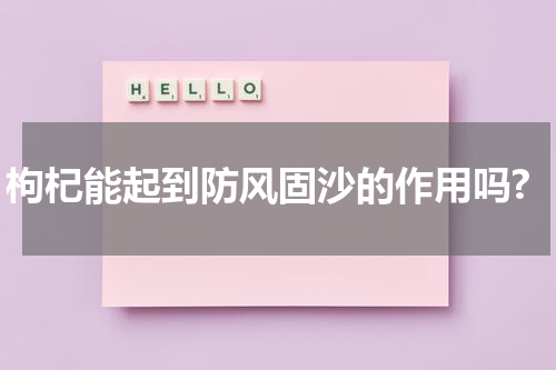 枸杞能起到防风固沙的作用吗?