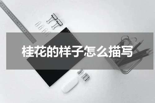 桂花的样子怎么描写