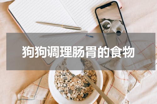 狗狗调理肠胃的食物