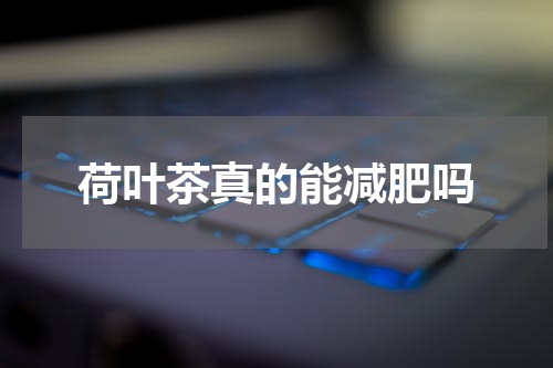 荷叶茶真的能减肥吗