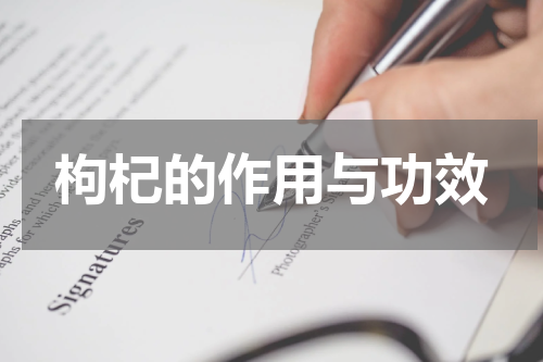 枸杞的作用与功效