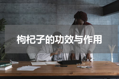枸杞子的功效与作用