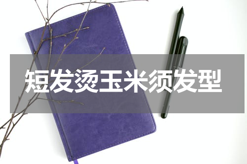 短发烫玉米须发型