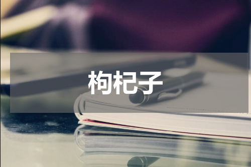 枸杞子