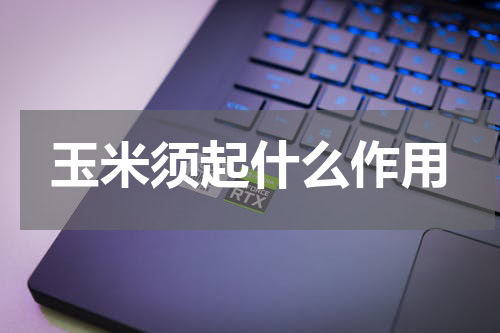 玉米须起什么作用