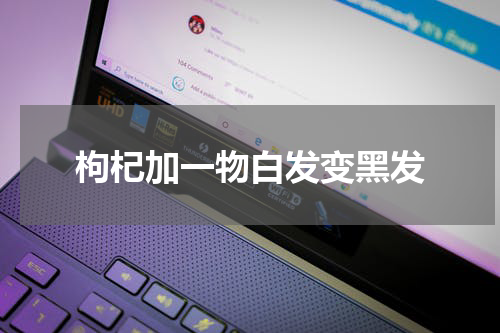 枸杞加一物白发变黑发